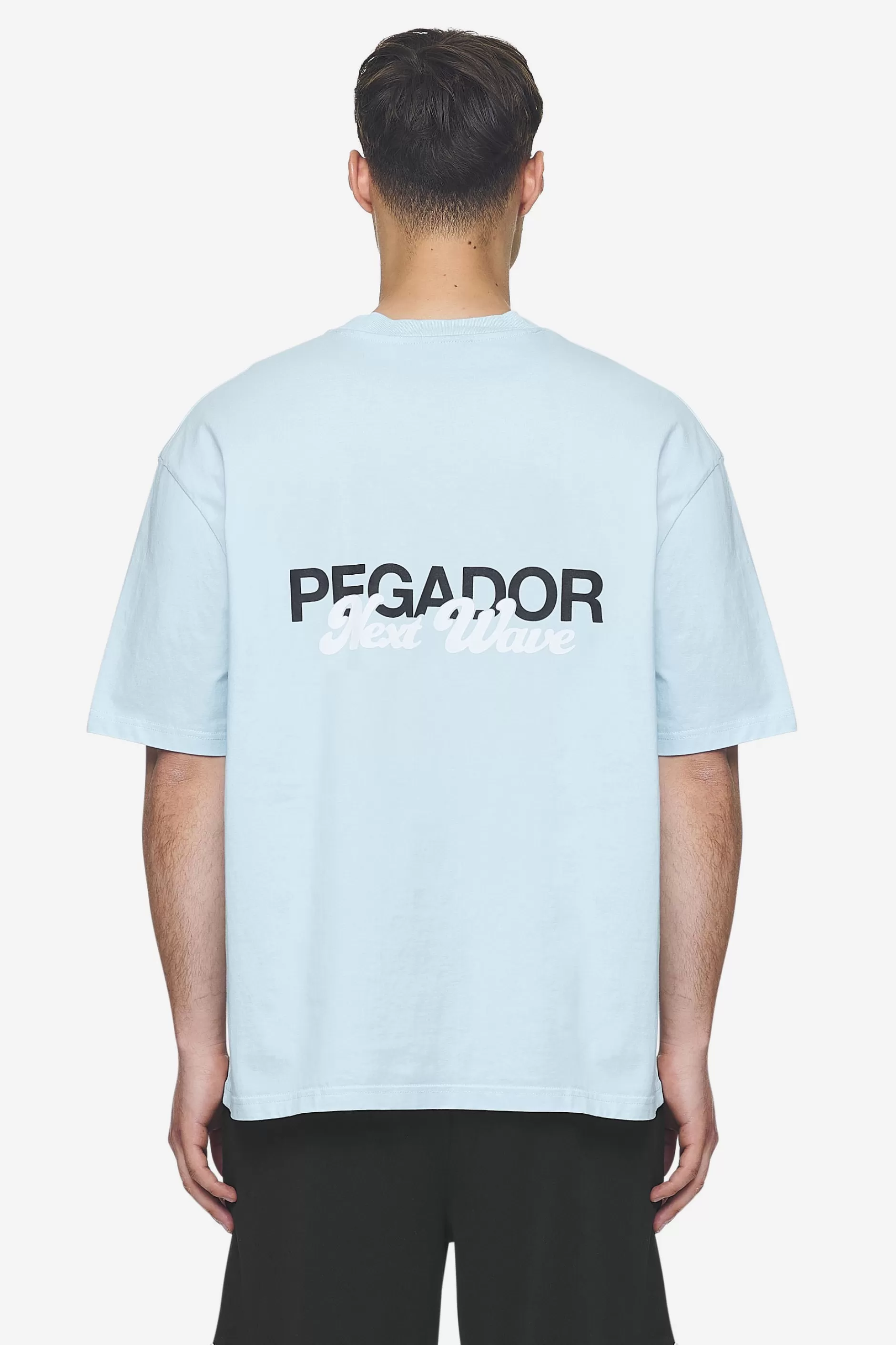 Cheap Pegador Aleso Oversized Tee Washed baby blue