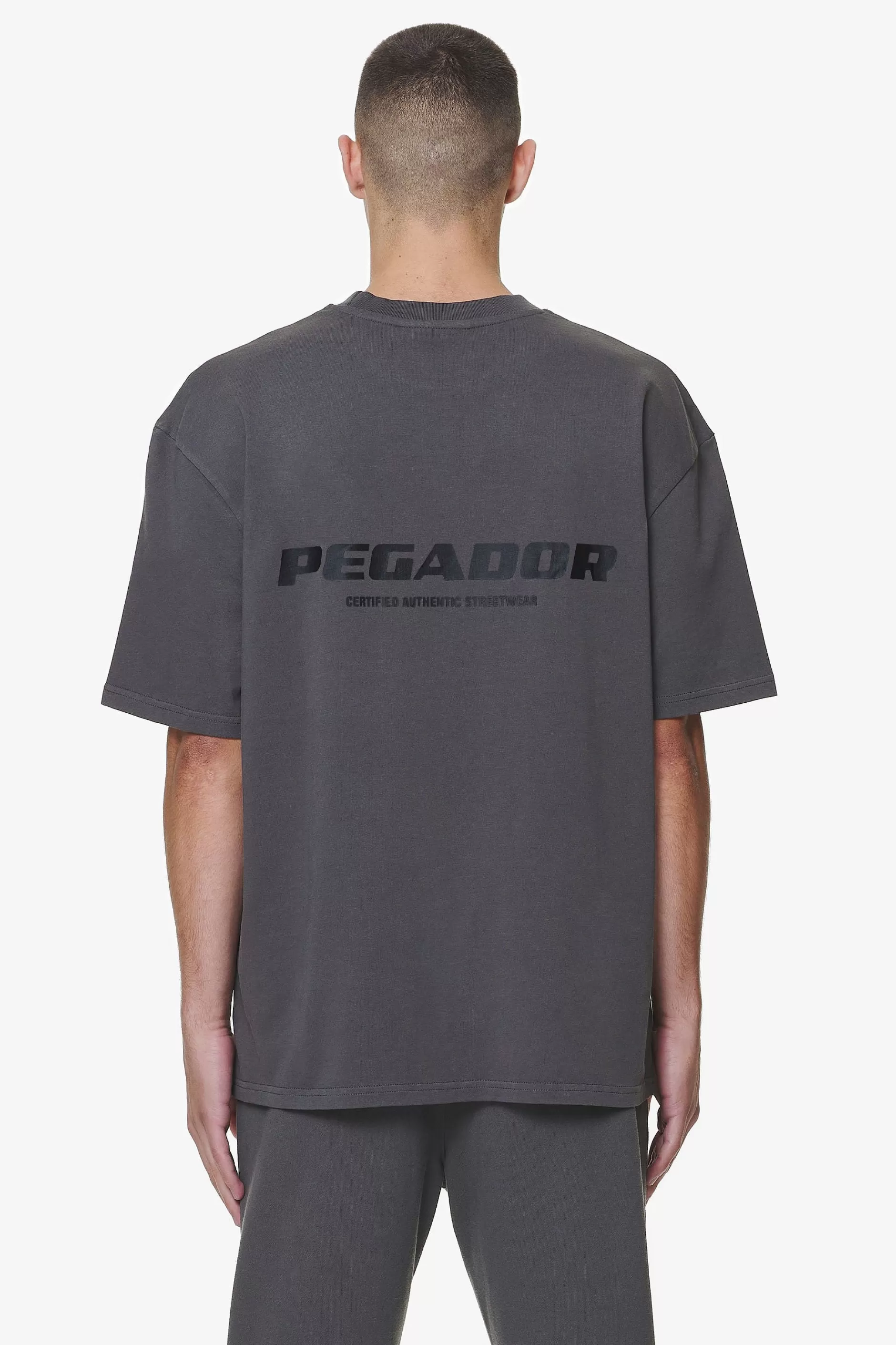 Store Pegador Colne Logo Oversized Tee Washed Volcano Grey