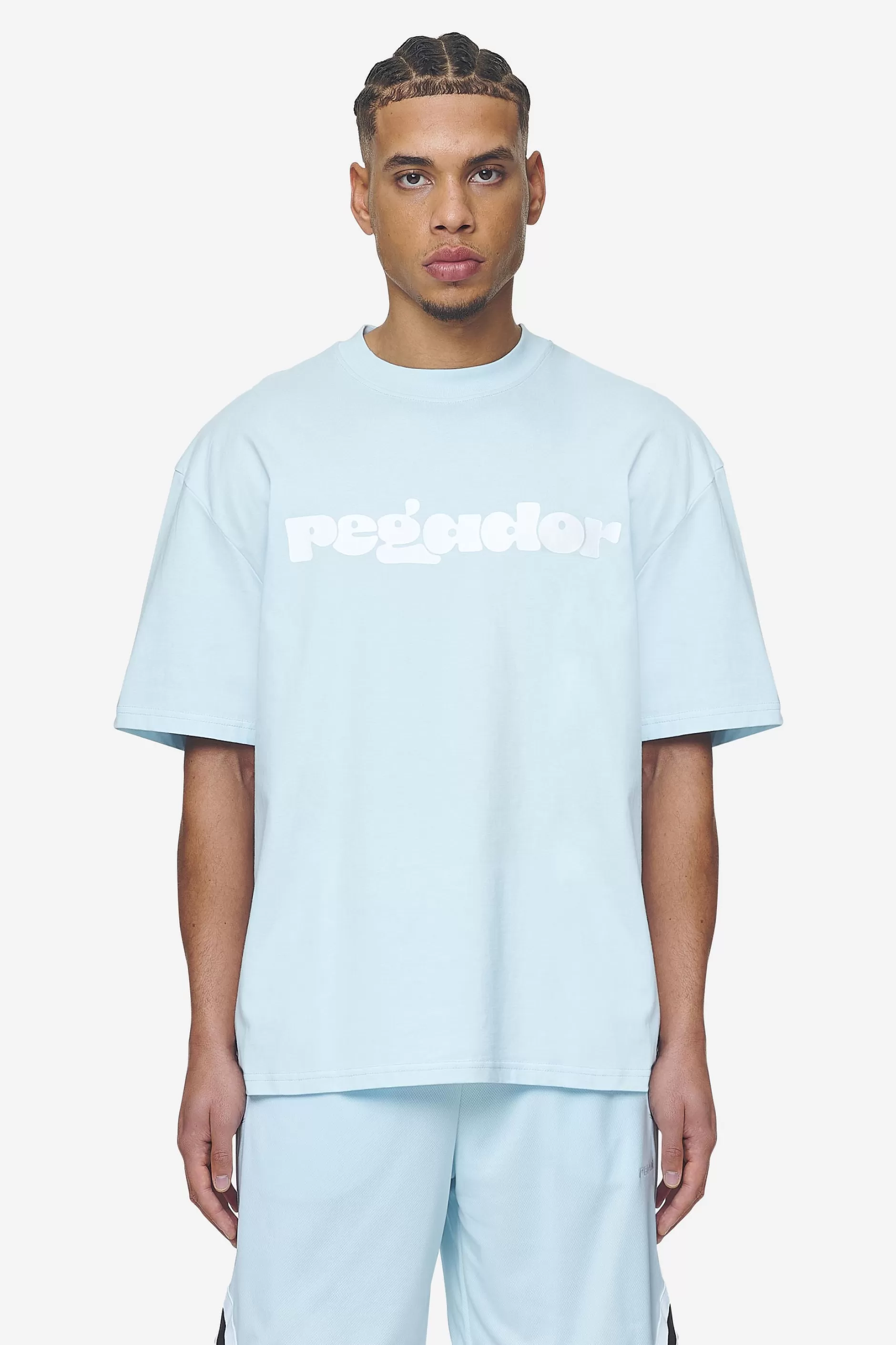 Cheap Pegador Cosmo Oversized Tee Washed baby blue