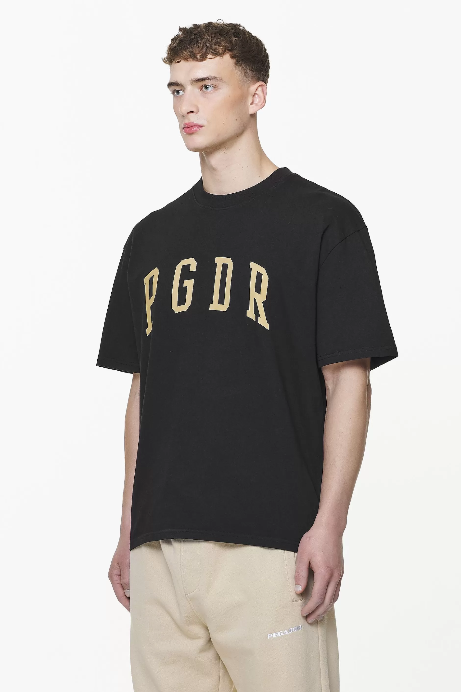 Best Pegador Layton Oversized Tee Vintage Washed Onyx Black