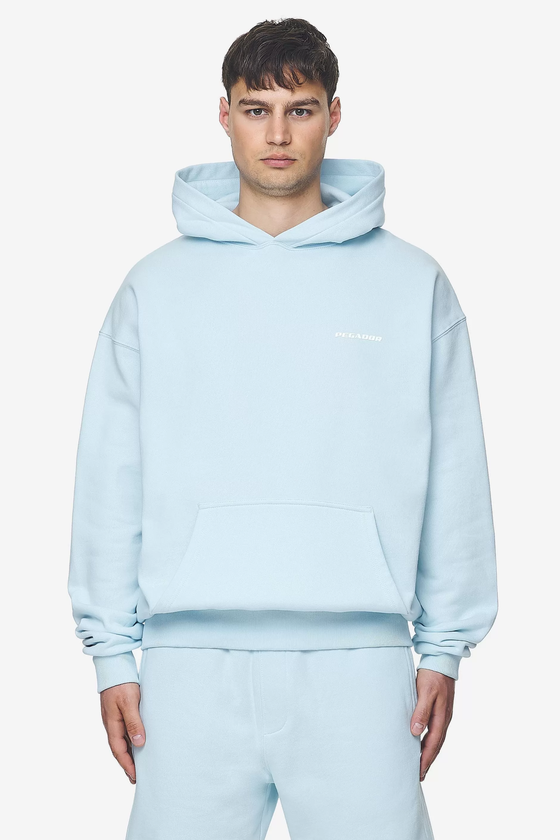 Shop Pegador Logo Oversized Hoodie White Gum Washed baby blue