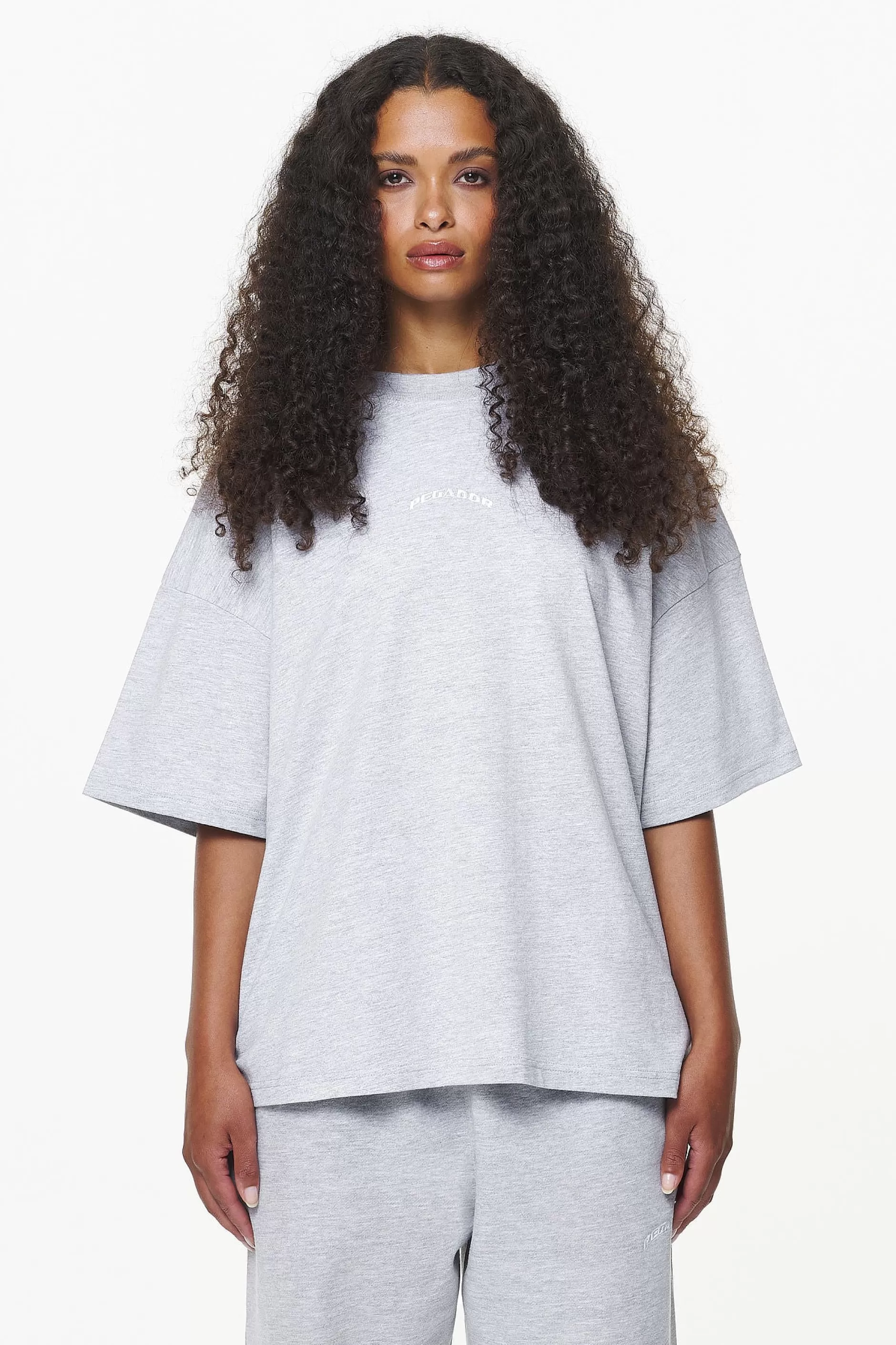 Best Sale Pegador Thames Heavy Oversized Tee Grey Melange