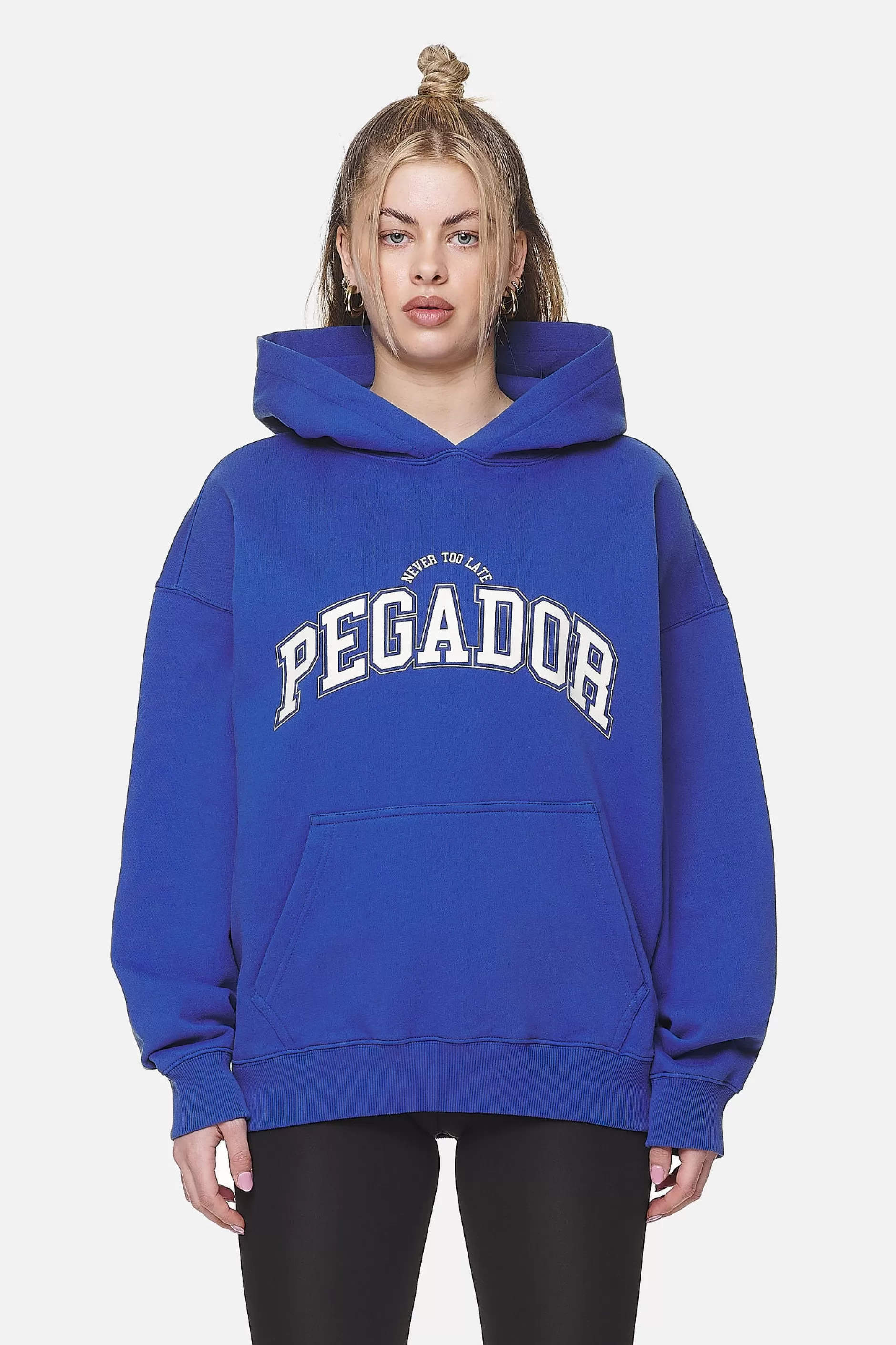 Sale Pegador Wayruna Oversized Hoodie  Washed True Blue